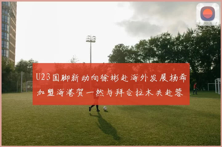 U23国脚新动向徐彬赴海外发展杨希加盟海港贺一然与拜合拉木共赴蓉城