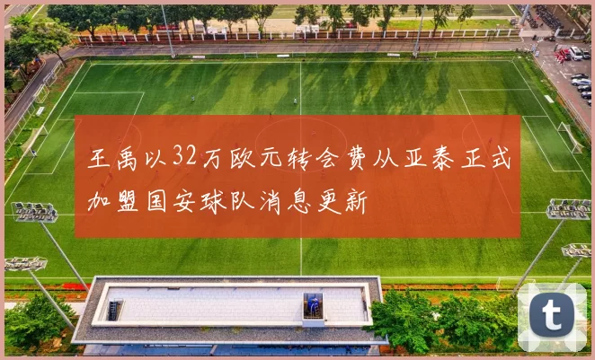 王禹以32万欧元转会费从亚泰正式加盟国安球队消息更新